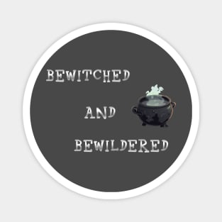 Bewitched and Bewildered Magnet